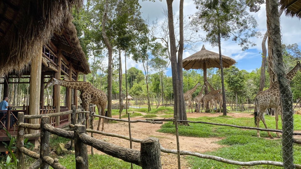 safari-phu-quoc-vuon-thu.jpg