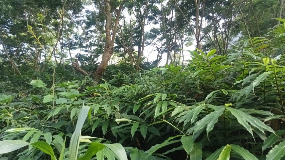 anh_1_30-05-2023-07-59-50.jpg