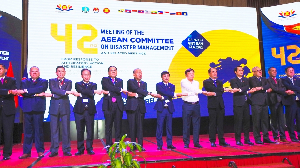 cac_dai_bieu_10_nuoc_asean_du_hoi_nghi.jpg