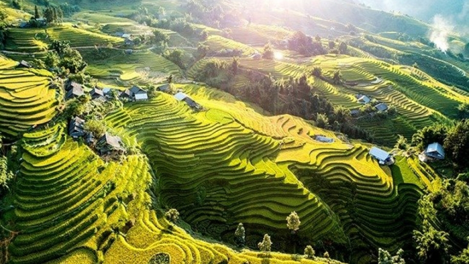 ky_vi_ruong_bac_thang_sa_pa_09074826102019.jpg