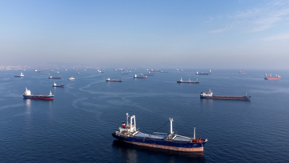 Tau thuyen di qua Eo bien Bosphorus ngay 31 10 2022. Anh Reuters.jpg