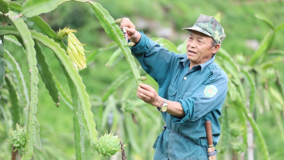cuu_chien_binh_1.jpg