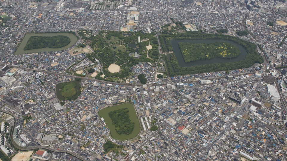 attraction-sakai-baisheniaogufenqundongkara.jpg