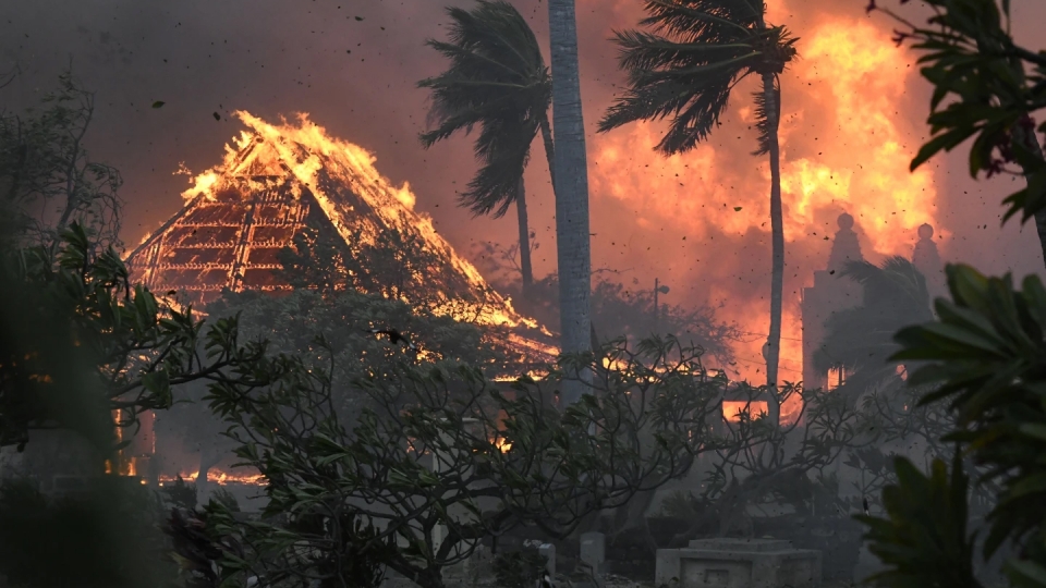 chay_rung_o_hawaii_13.jpg