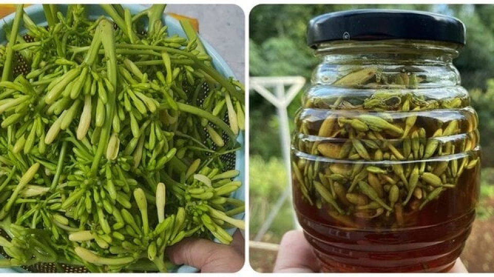 hoa_du_du_ngam_mat_ong.jpg