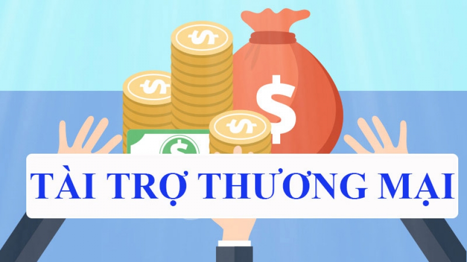 tai-tro-thuong-mai.jpg