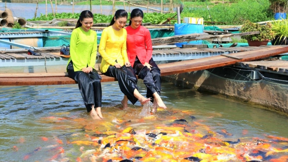 vov_-_nho_ket_hop_thanh_cong_mo_hinh_du_lich_nong_nghiep_moi_nam_ong_ly_van_bon_-_chu_be_ca_bay_bon_co_nguon_loi_nhuan_on_dinh_khoang_9-10_ty_dong_dong_thoi_tao_viec_lam_thuong_xuyen_cho_gan_40_lao.jpg