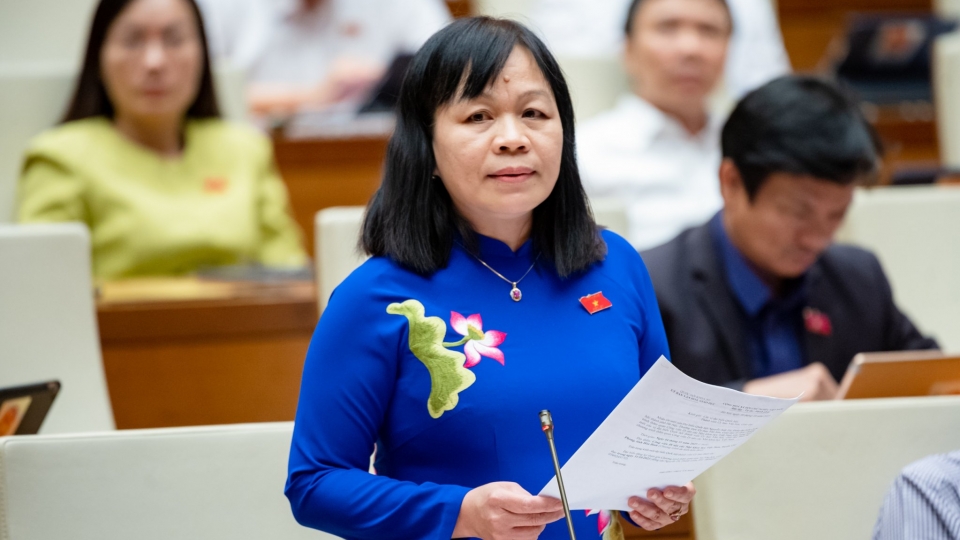 mai_hoa_dong_thap.jpg