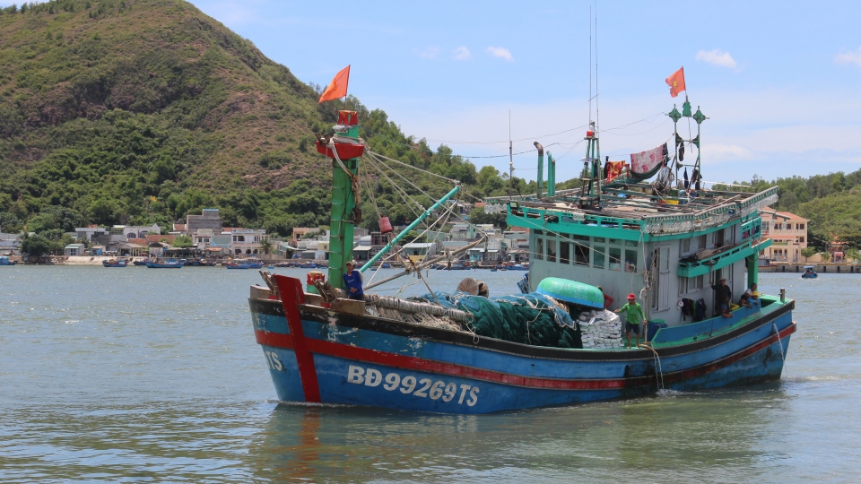 vov_tau_ca_cua_ngu_dan_tinh_binh_dinh_cap_vao_tram_bien_phong_mui_tan_thuoc_don_bien_phong_cua_khau_cang_quy_nhon_truoc_khi_ve_cang_ca_quy_nhon_ban_ca_20231006090449.jpg