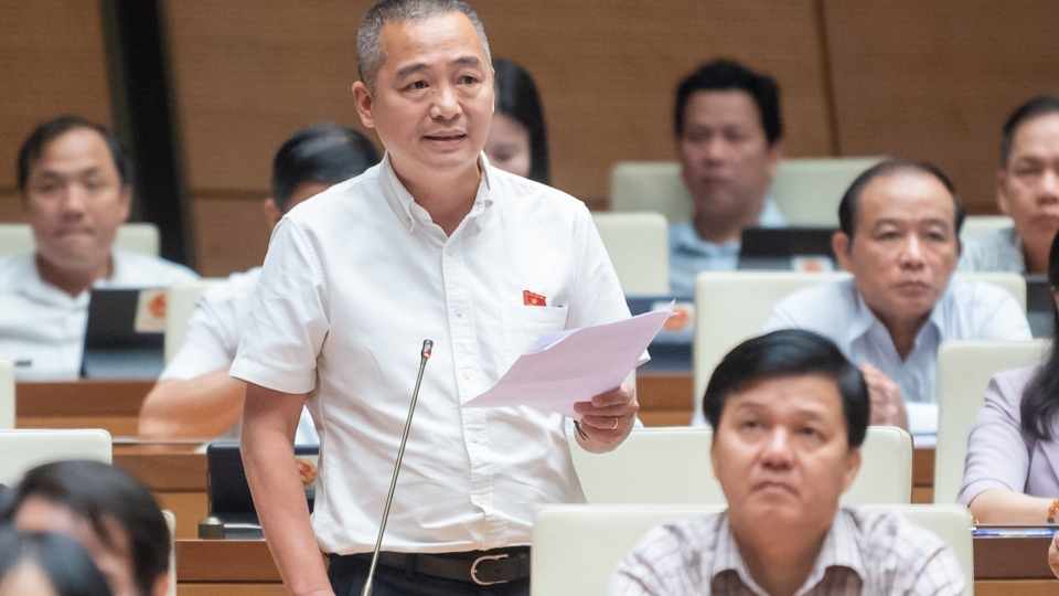 011120230937-nguyen-lan-hieu.jpg
