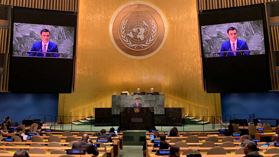 Ambassador Dang Hoang Giang, head of the Vietnamese Delegation to the UN, was speaking during a UN General Assembly debate.jpg