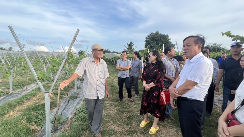 doan_cac_doanh_nghiep_du_lich_tinh_khanh_hoa_khao_sat_vuon_nho_ba_moi_tinh_ninh_thuan.jpg
