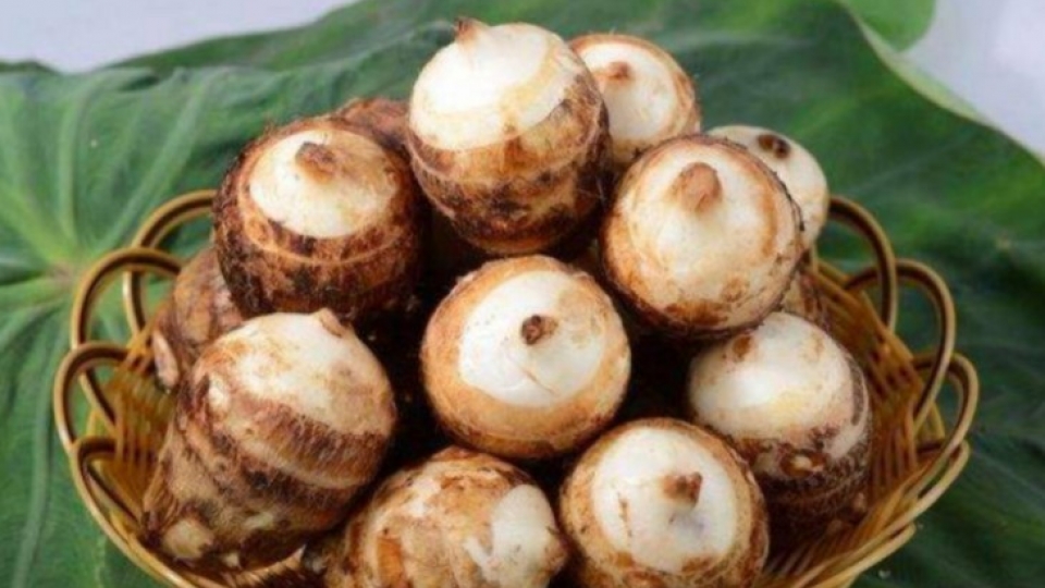 tac_dung_cua_khoai_so.jpg