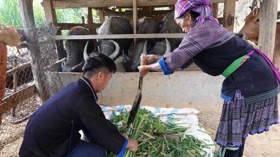 dong_bao_vung_cao_cham_soc_gia_suc_trong_nhung_ngay_lanh_gia.jpg