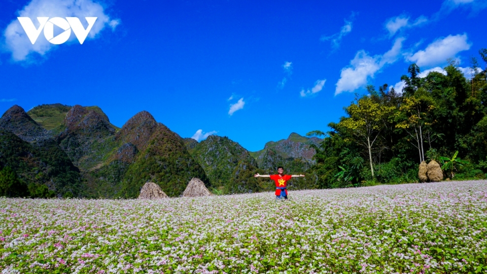 ha-giang-tam-giac-mach-ngo-hai_0.jpg