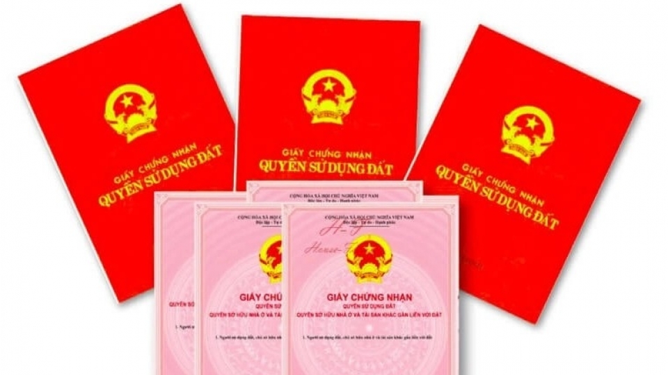 so-hong-la-gi-so-do-la-gi.jpg