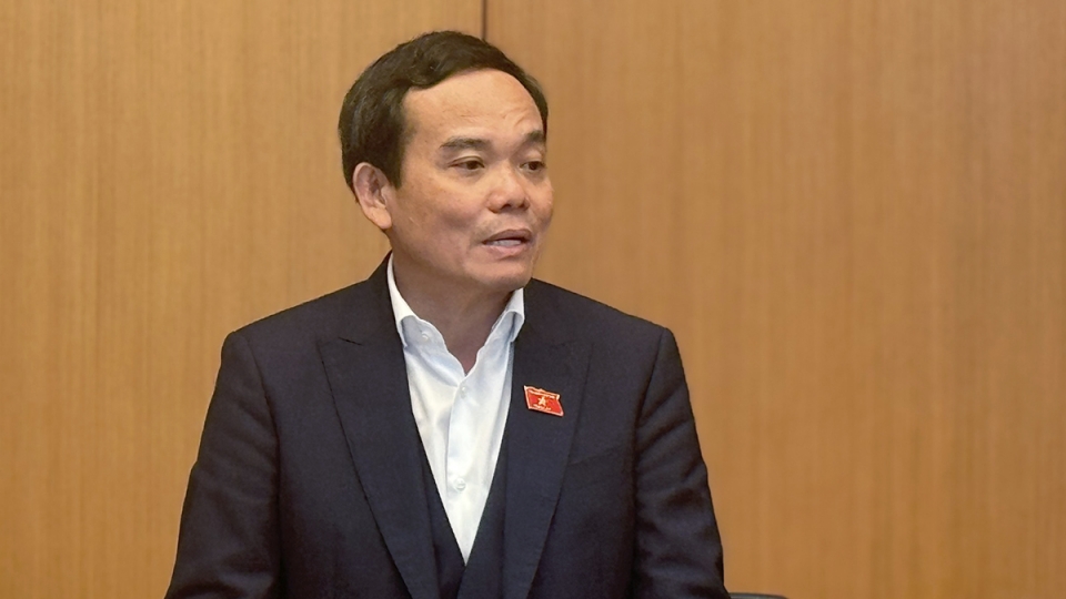 16.1 tran luu quang.jpg