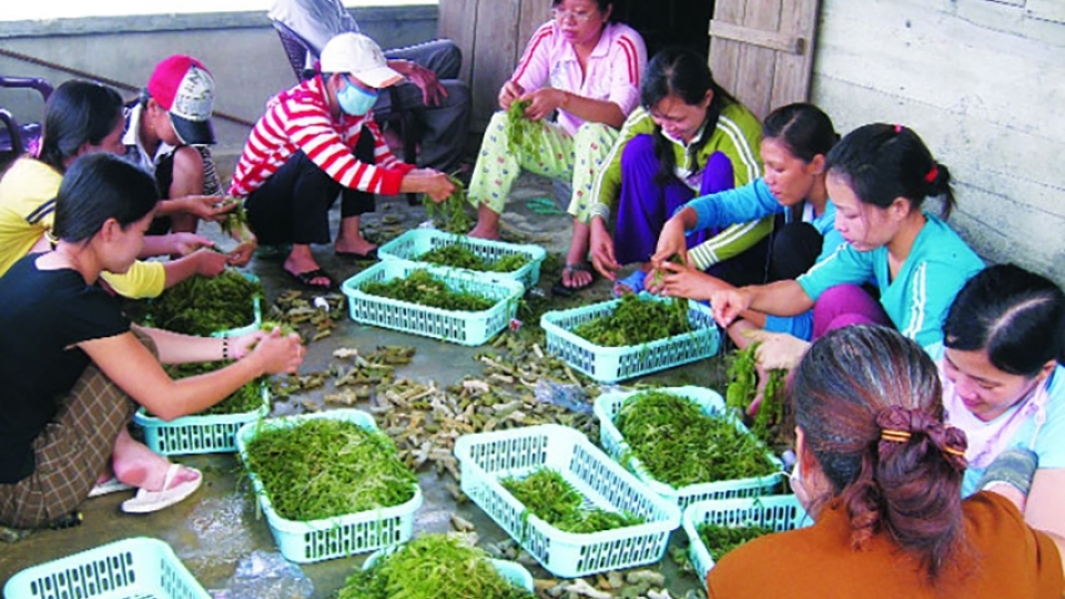anh rong bien ngoai.jpg