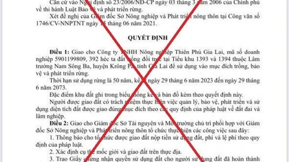 gia_mao_quyet_dinh.jpg