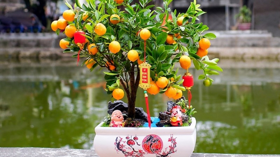 tet-tang-qua-quat.jpg