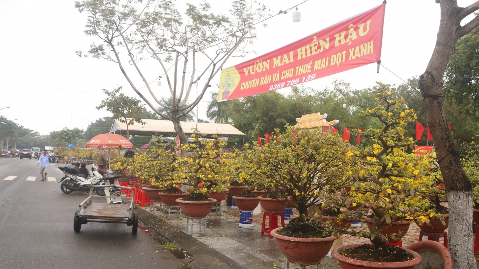 hoa_tet_dang_cho_nguoi_mua_20240208144021.jpg