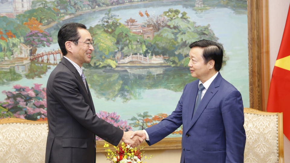 trang_hong_ha_2.jpg