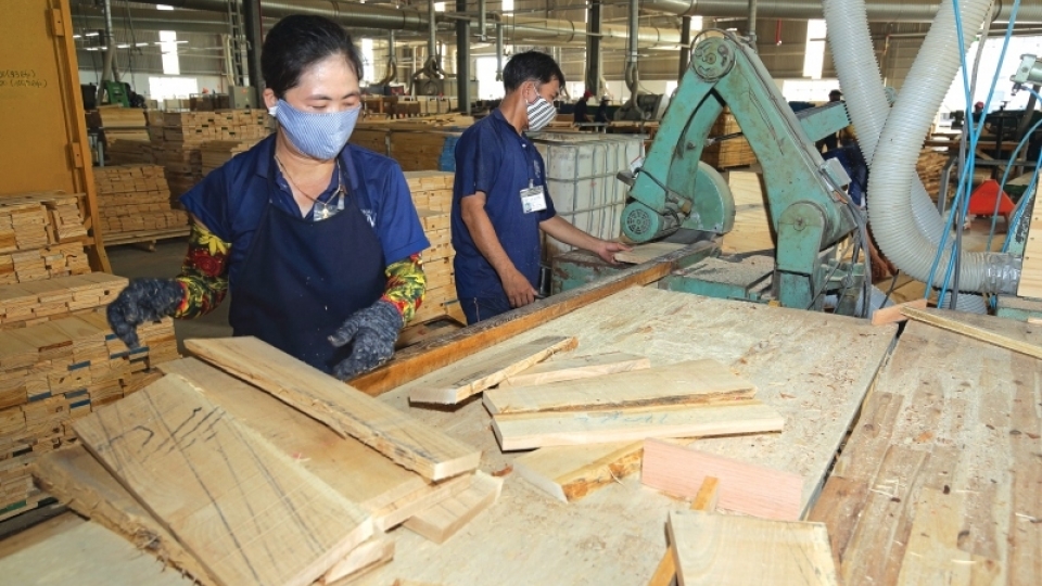 xuat khau go ngoai.jpg