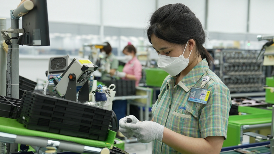 Xuất khẩu có nhiều tín hiệu tích cực bất chấp dịch bệnh Covid-19_1.jpg