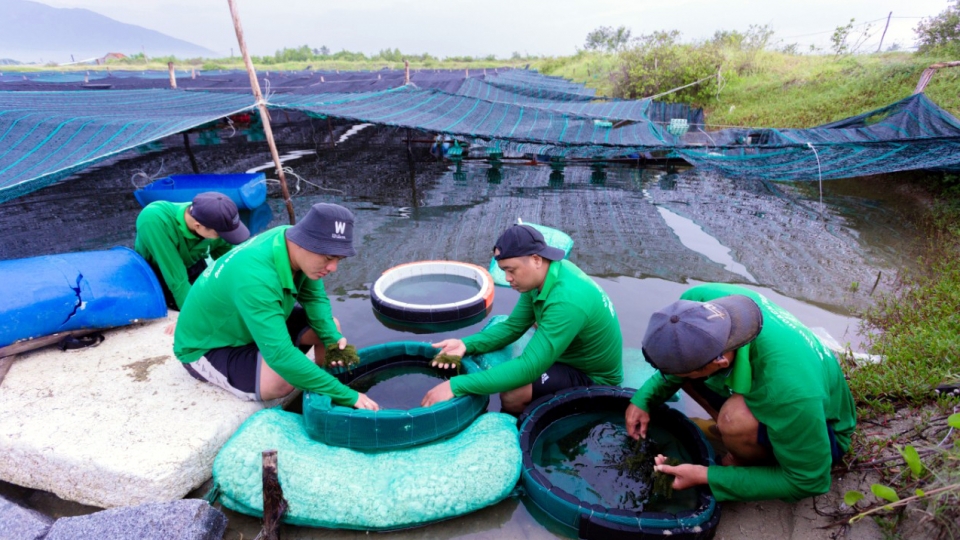 anh_3_20240409085954.jpg