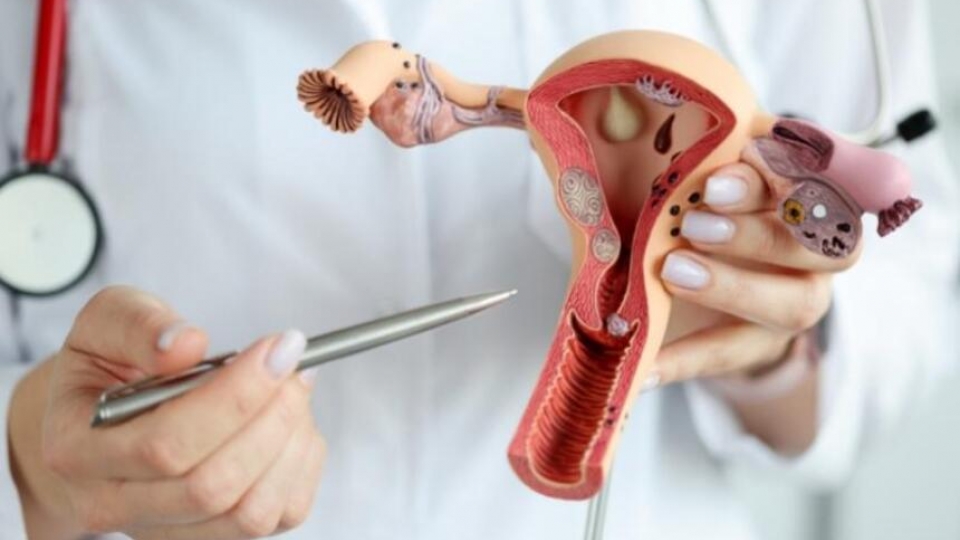 Cắt một bên buồng trứng có con được không?