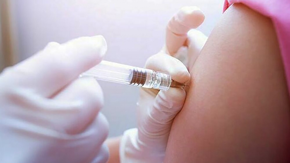 Mang thai 20 tuần bị chó cắn, có nên đi tiêm phòng dại?
