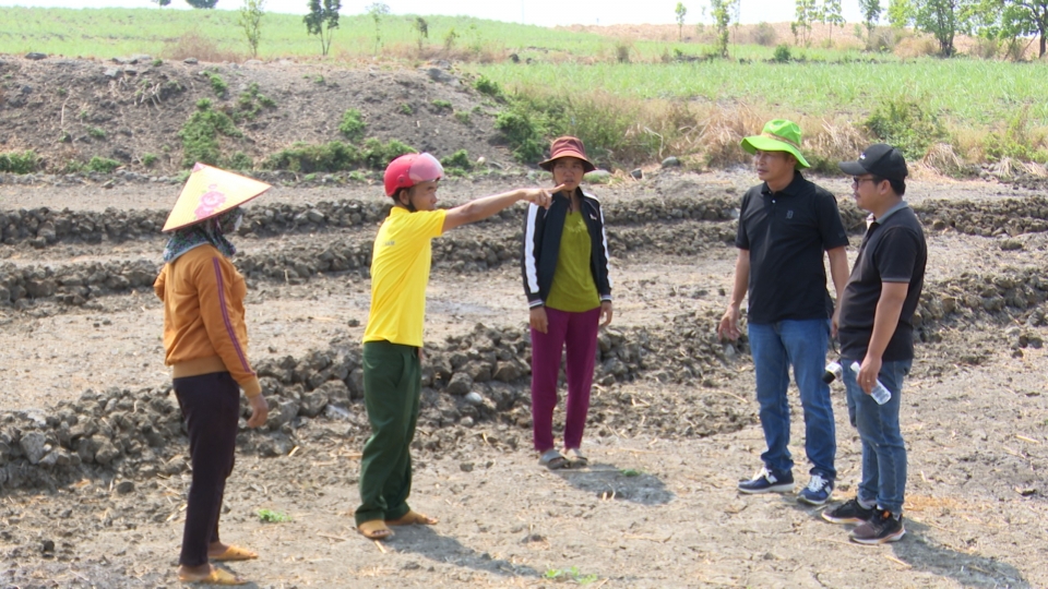 dan_lang_tnung_xa_hbong_phan_anh_nuoc_thai_tu_trai_heo_chay_vao_ruong_khien_ba_con_khong_the_tiep_tuc_trong_lua.jpg