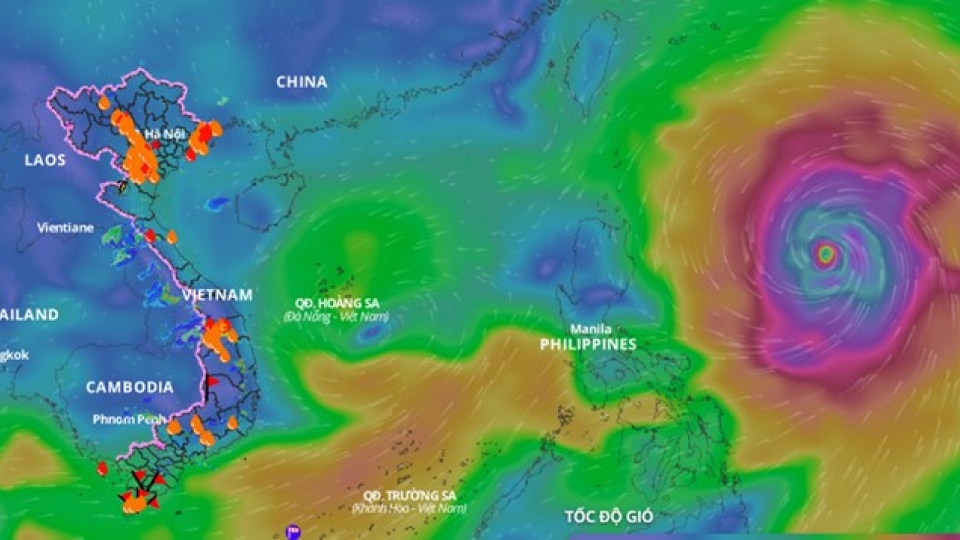 tropical storms.jpeg