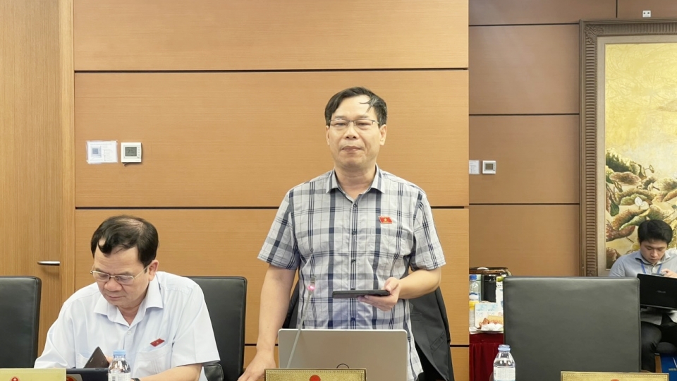 vov_do_duc_hong_ha.jpg