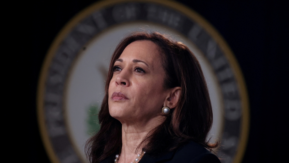 2024-07-22T021225Z_1555058172_RC2109A7TUS3_RTRMADP_3_USA-ELECTION-HARRIS-SUPPORT-PARTY.JPG