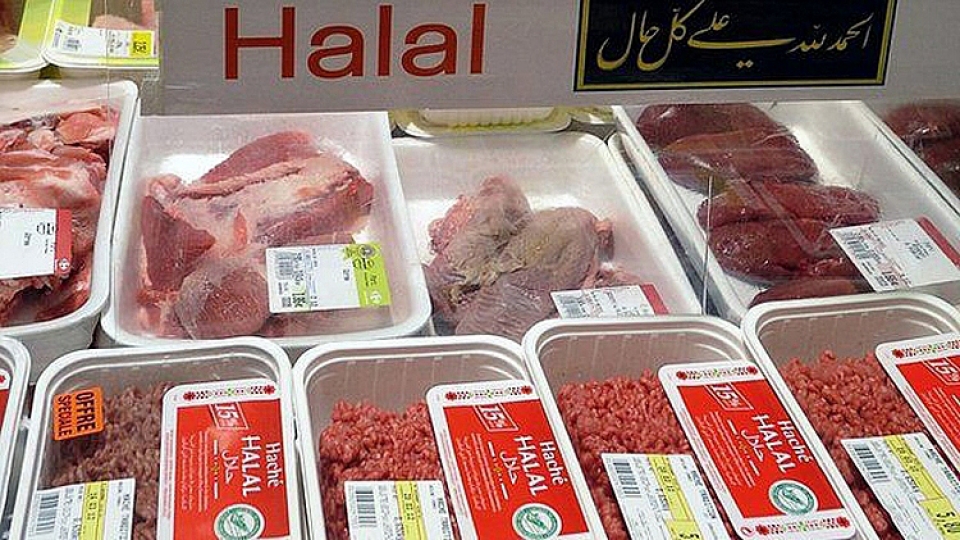halan3.jpg