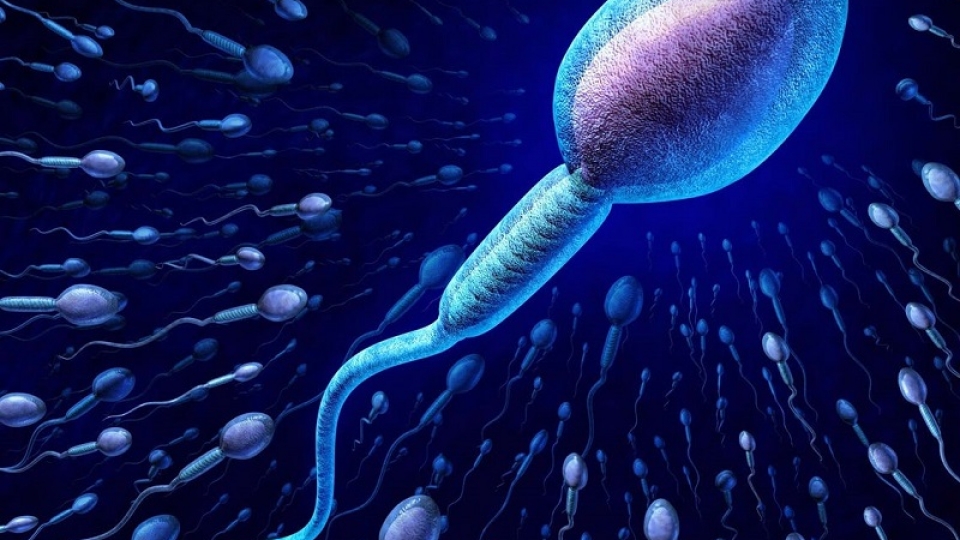 Giải mã những chuyện lầm tưởng phổ biến về tinh trùng