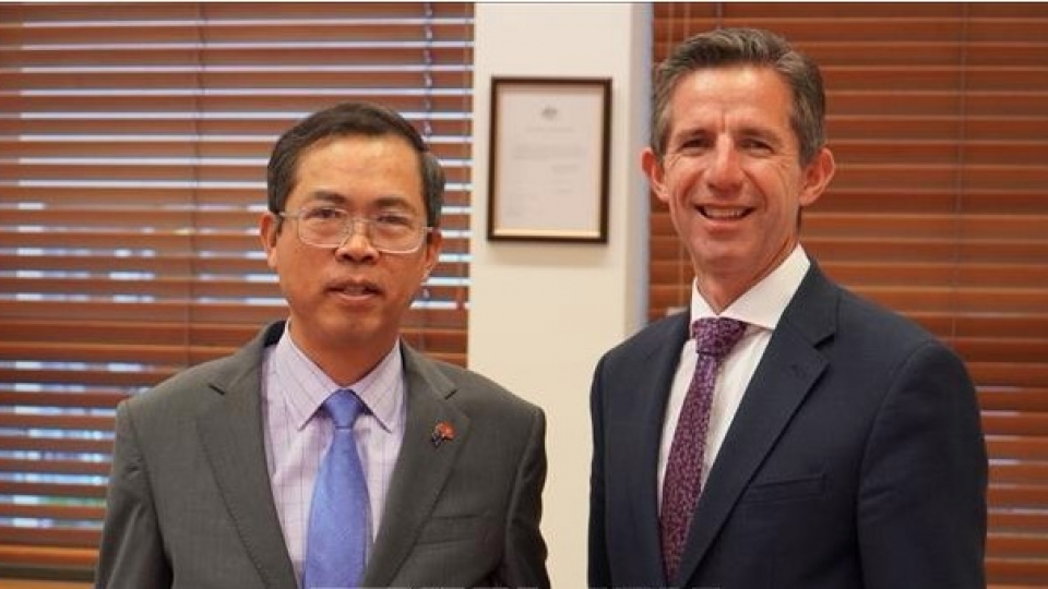 Australian senator.jpg