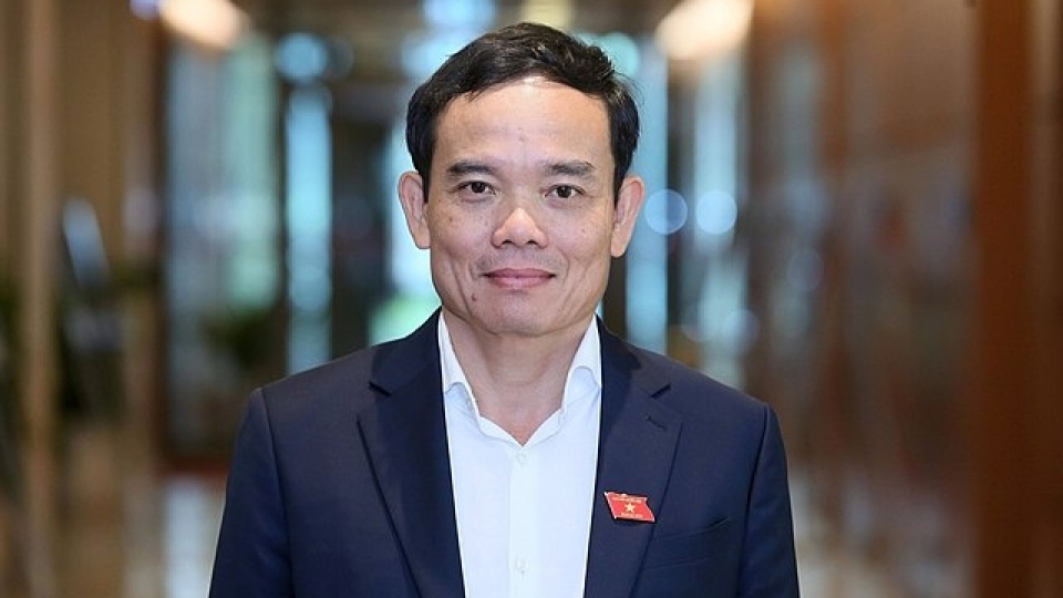 Tran Lưu Quang.jpg