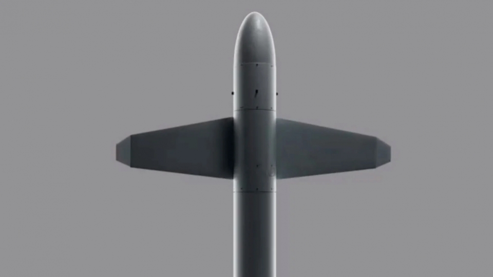 ten_lua_uav_palianytsia.jpg