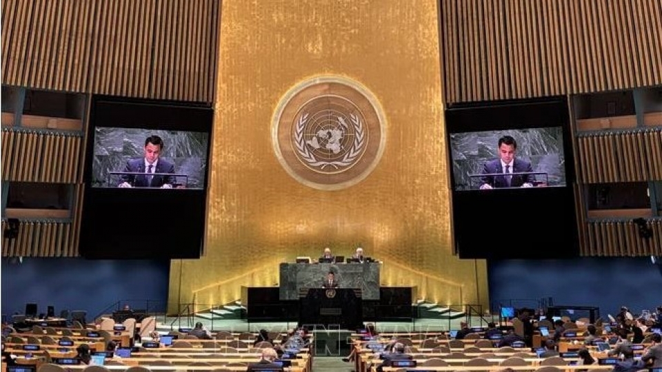 Ambassador Dang Hoang Giang_0.jpg