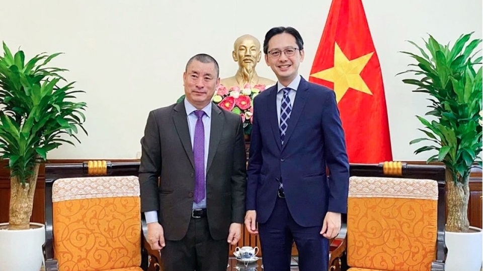 Deputy FM Do Hung Viet.jpg