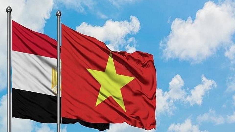 VN Egypt.jpg