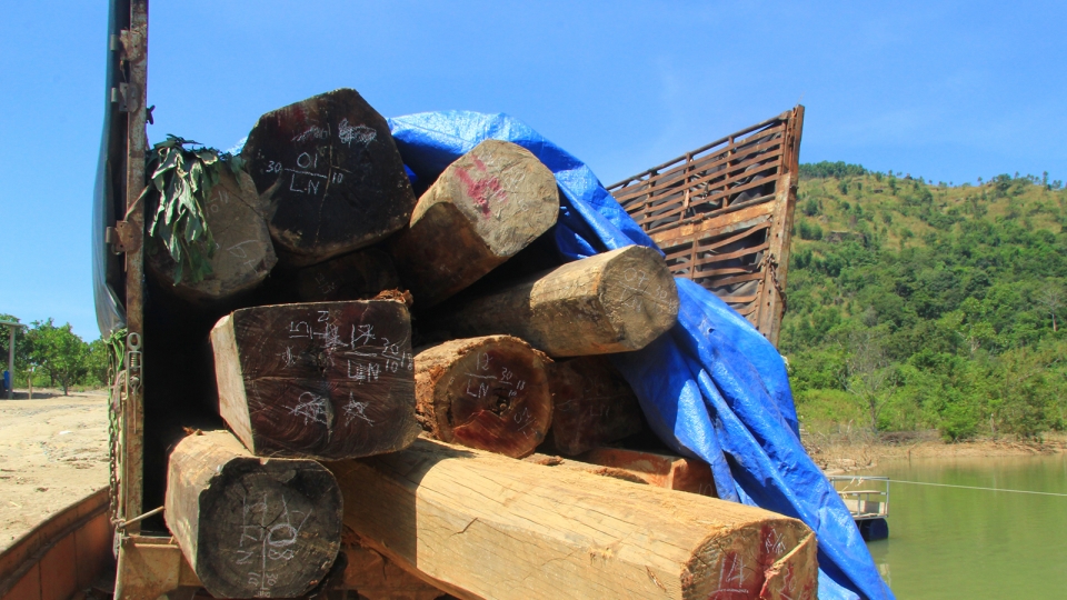 ngan_chan_mot_vu_van_chuyen_go_lau_qua_long_ho_thuy_dien_se_san_3a_xa_ia_toi_huyen_ia_hdrai_thang_11_2018.jpg