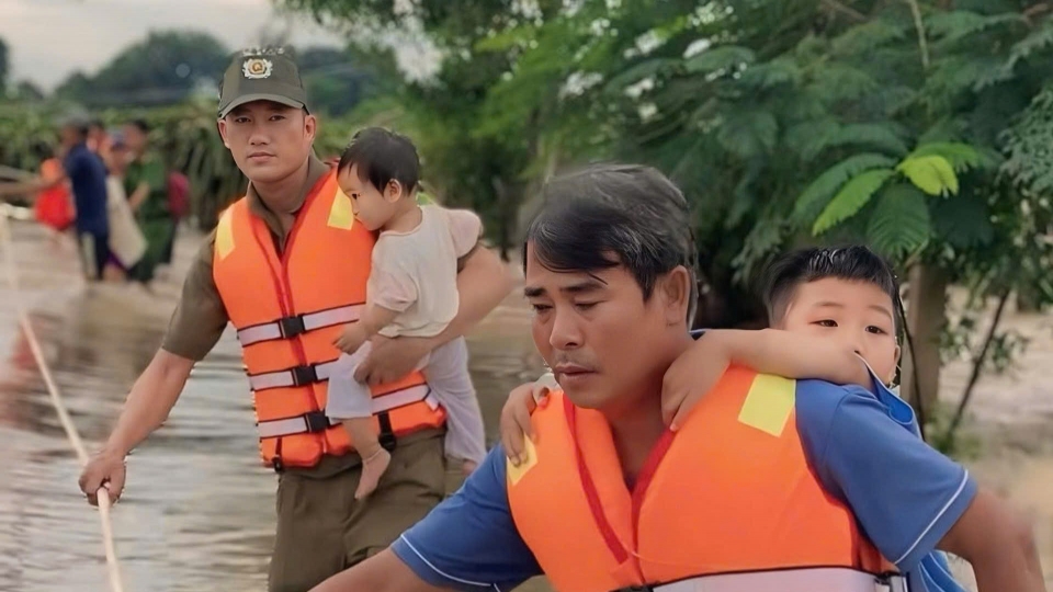 Mưa lớn kéo dài, hàng trăm hecta hoa màu tại Bình Thuận chìm trong biển nước