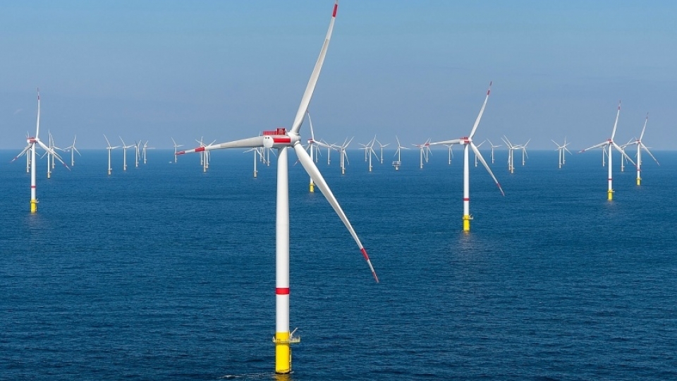 Singapore keen to invest in offshore wind power development in Ba Ria-Vung Tau