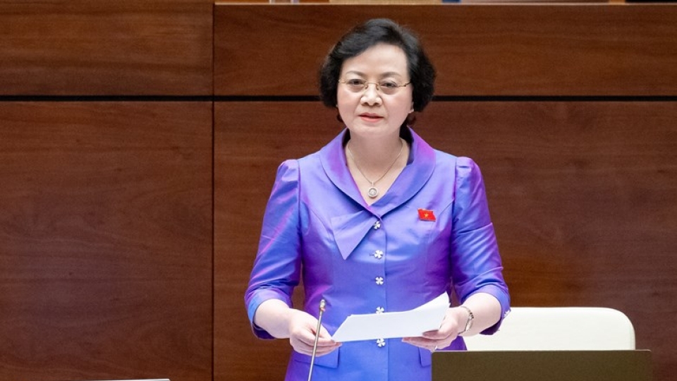 Pham Thi Thanh tra phat bieu tai Quoc hoi.jpg