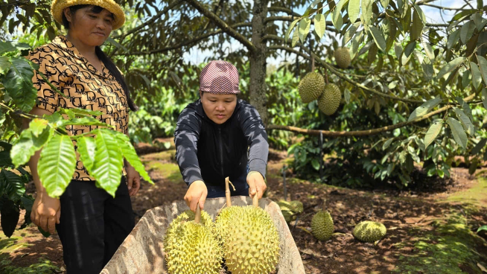 co_che_nong_nghiep_anh_3_20241030142717.jpg