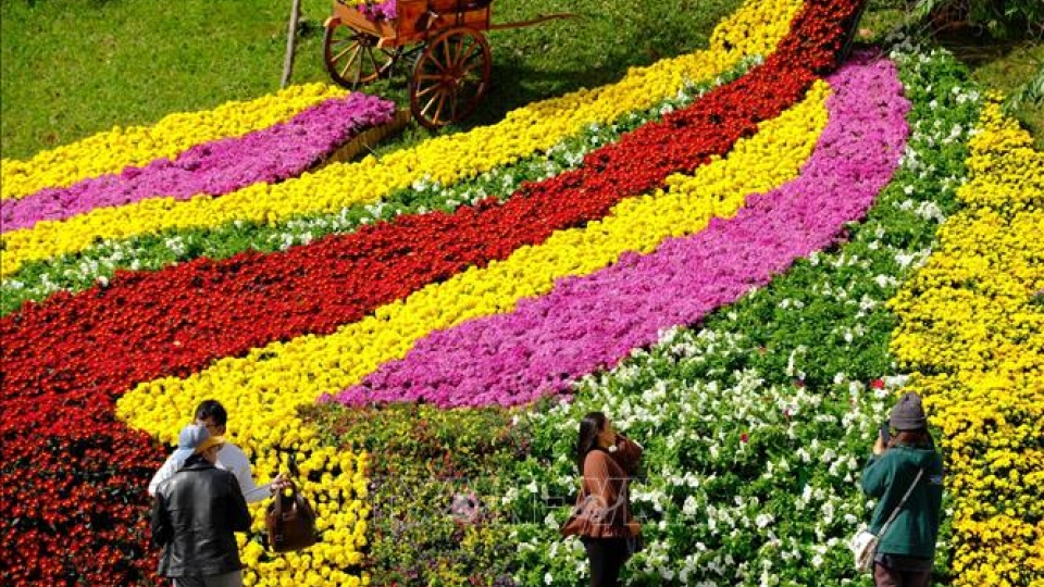 Da Lat Flower Festival to elevate Vietnamese culture and tourism