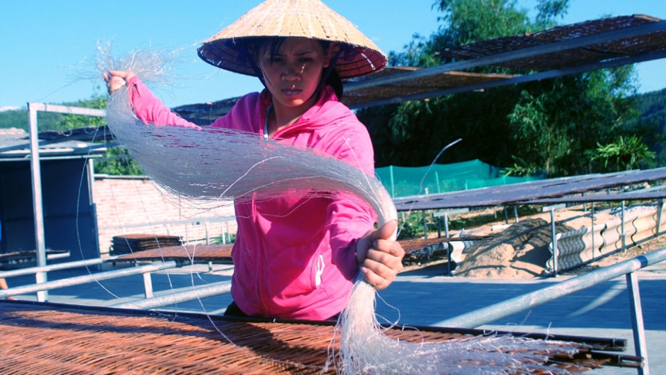 Làng làm miến dong truyền thống Bình Lư (Lai Châu) nhộn nhịp vào vụ mới